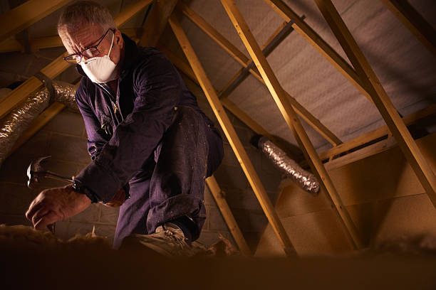 Insulation Contractors for Homes in Ashland, WI